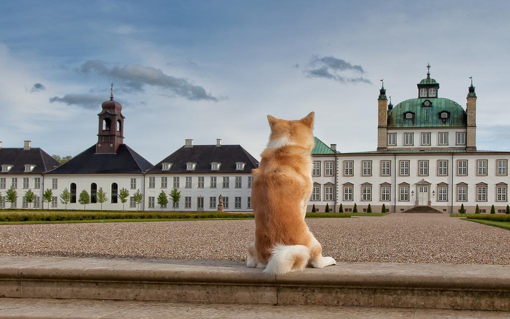 Hostel Vandrerhjem, I Kongens Baghave