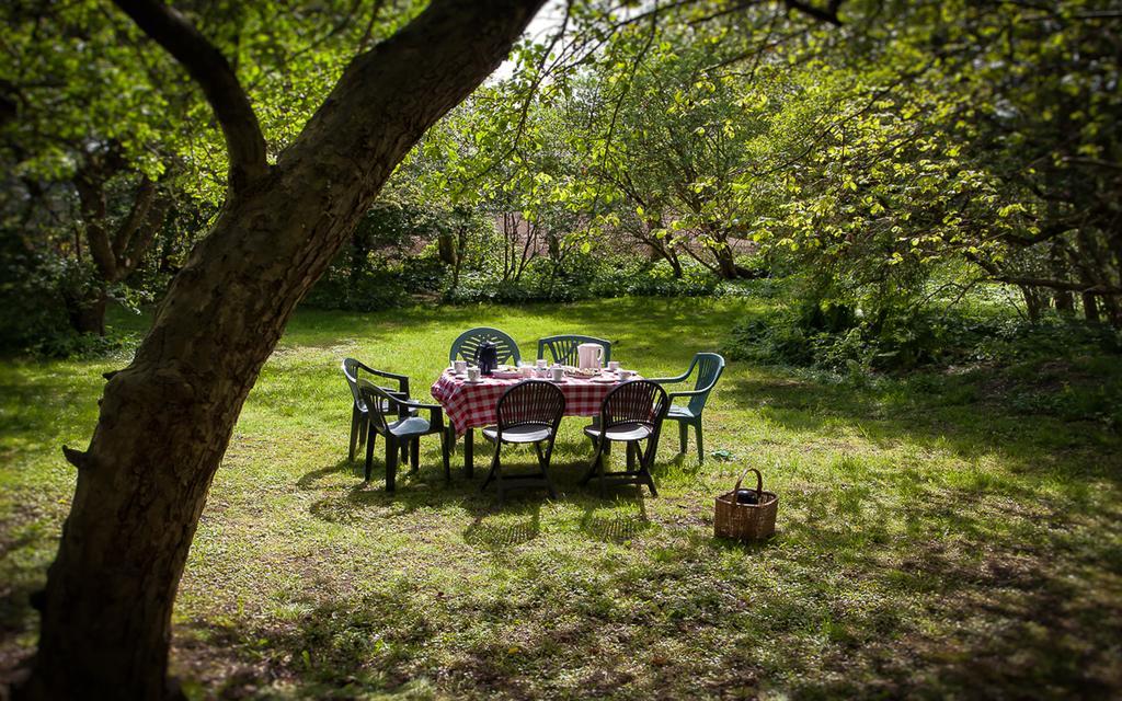 Hostel Vandrerhjem, I Kongens Baghave